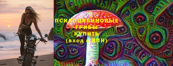 ешки Арсеньев