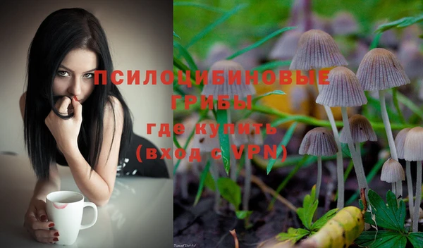 a pvp Армянск